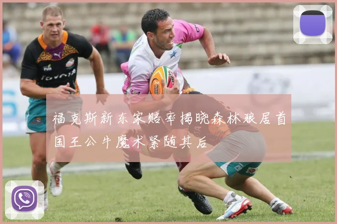 福克斯新东家赔率揭晓森林狼居首国王公牛魔术紧随其后