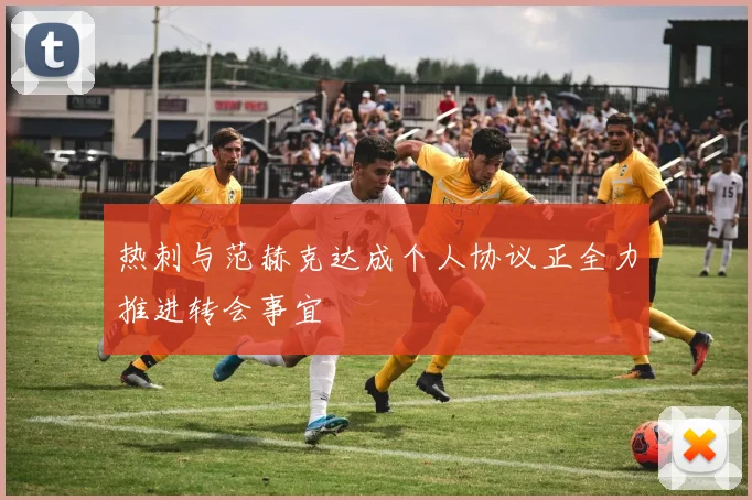 热刺与范赫克达成个人协议正全力推进转会事宜